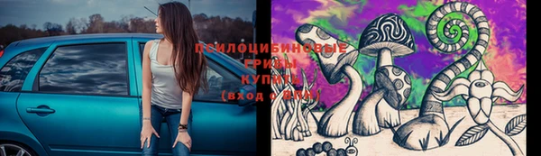 бутират Алзамай