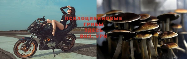 бутират Алзамай