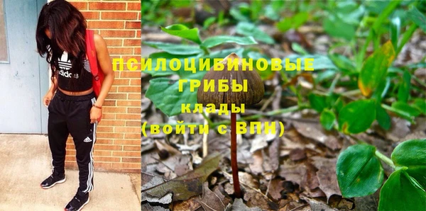 бутират Алзамай