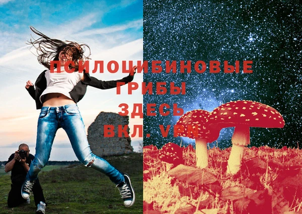 бутират Алзамай