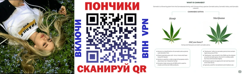 Бошки Шишки сатива  где продают наркотики  Данилов 